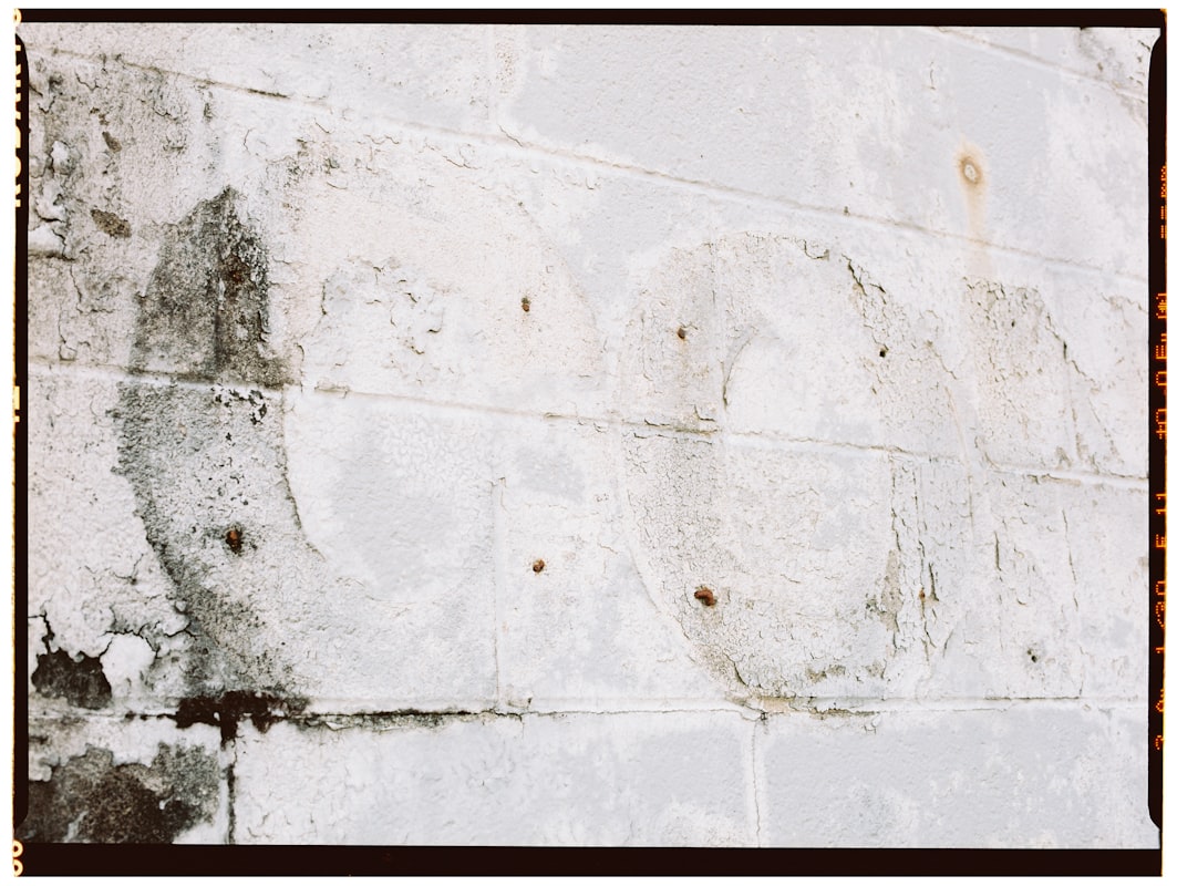 Basement Water Removal service in Gresham, OR